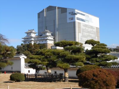 天空の白鷺