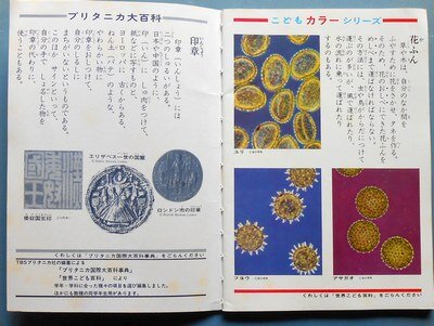 ブリタニカ学習帳「印章」「花粉」解説